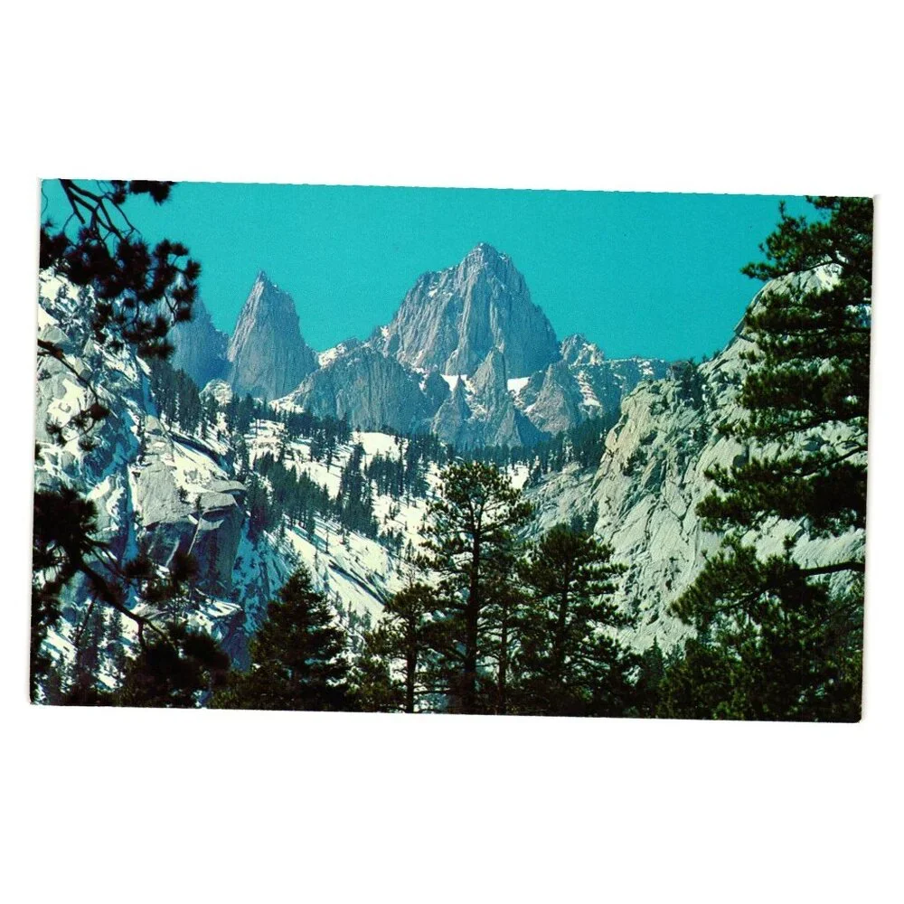 Mt Whitney CA Vintage Postcard Snow Covered Peaks Tall Pine Trees Scenic View